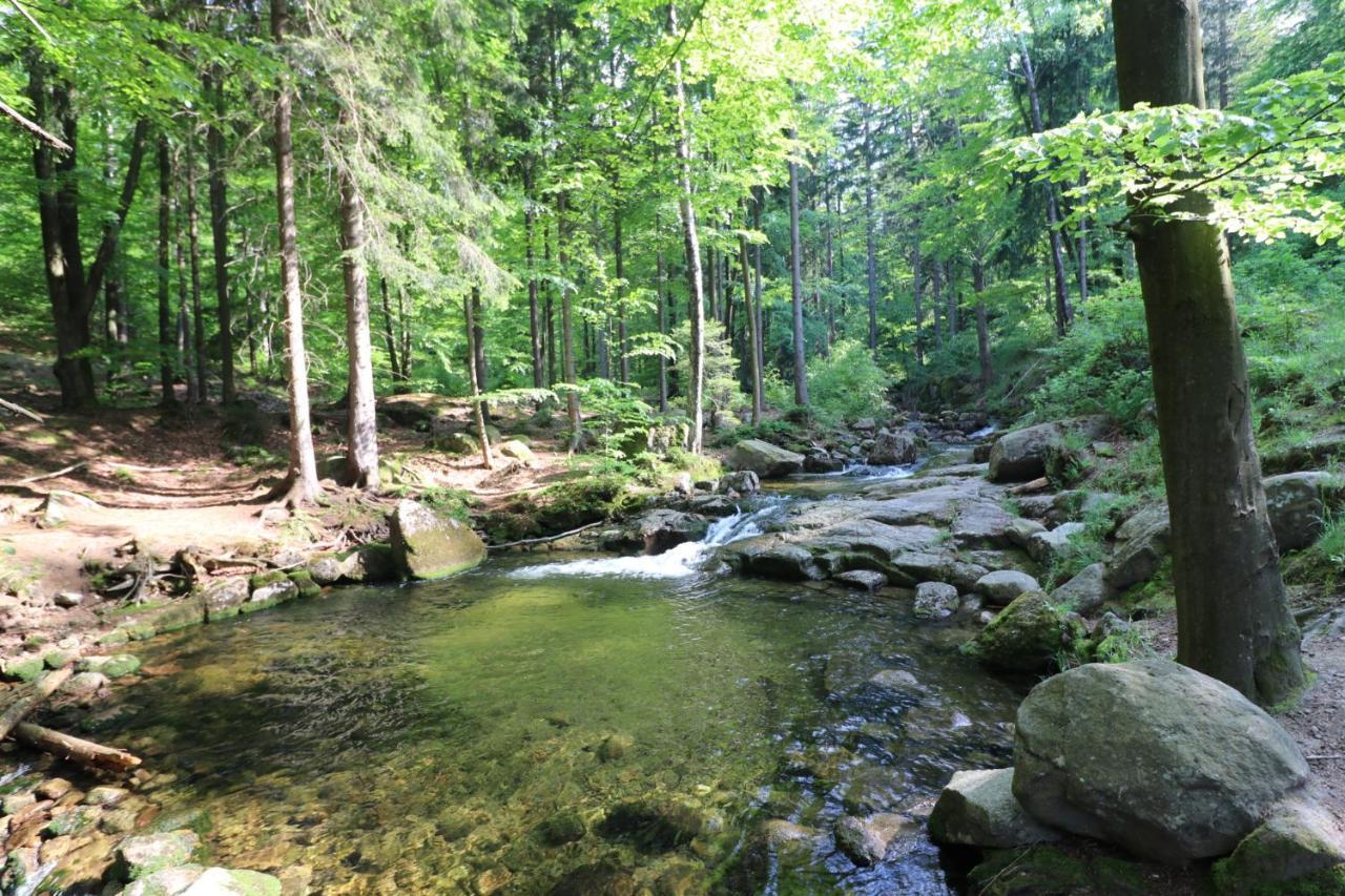 Pokoje Goscinne Dolina Czerwienia Przesieka Extérieur photo